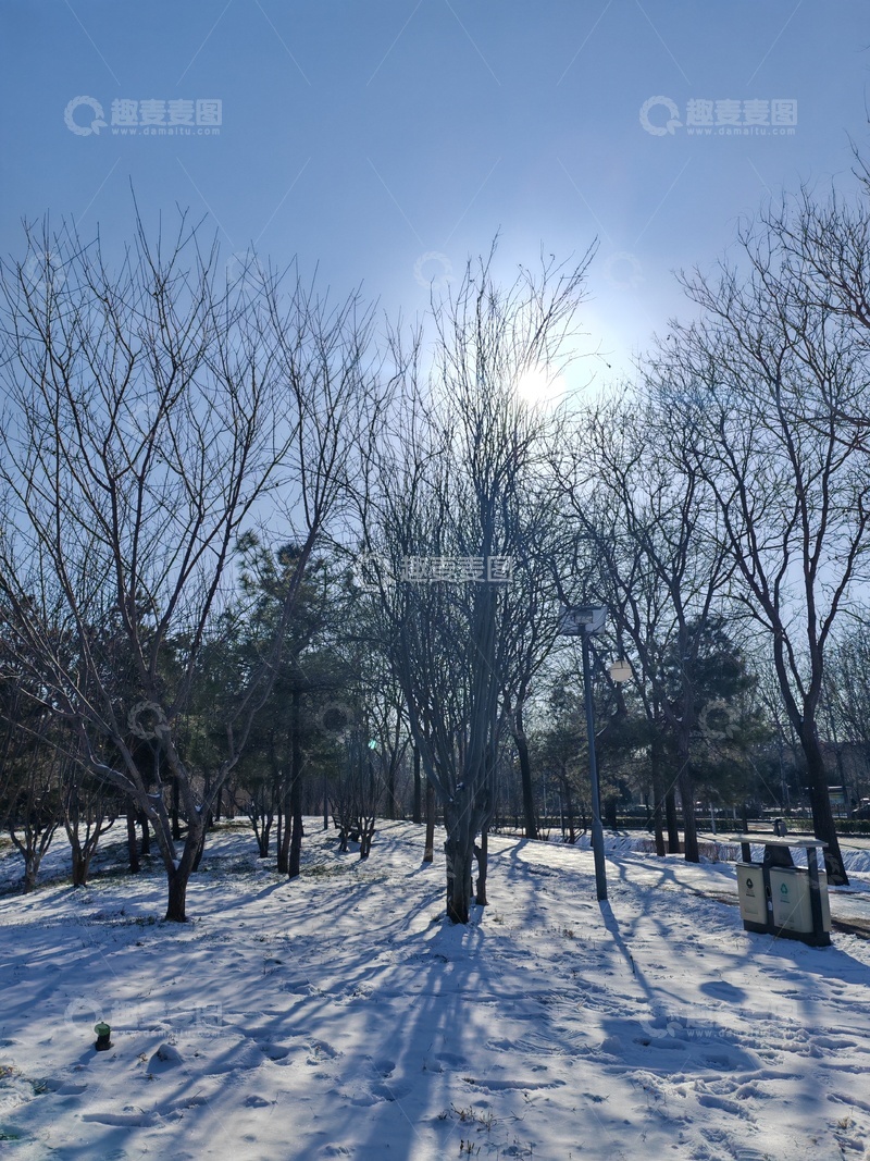 高清大图下载【趣麦麦图】冬日树林雪景风光