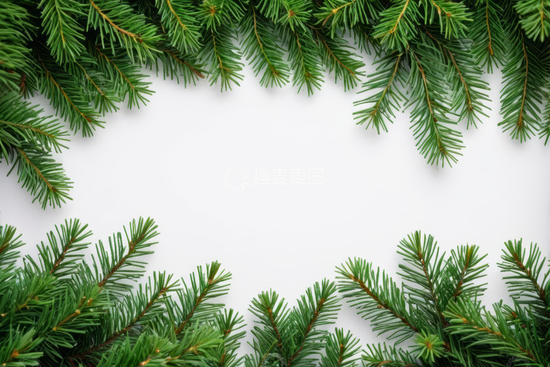 高清大图下载【趣麦麦图】绿色松枝装饰边框素材