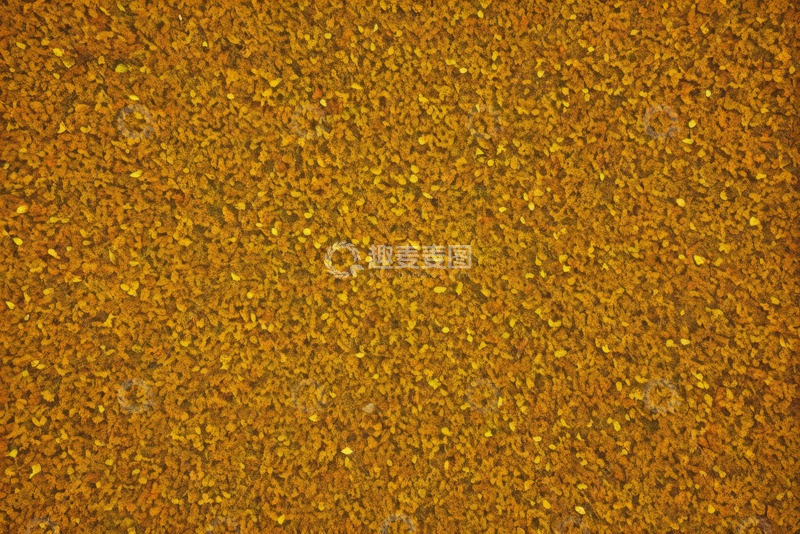 高清大图下载【趣麦麦图】特写视角下的黄色颗粒纹理