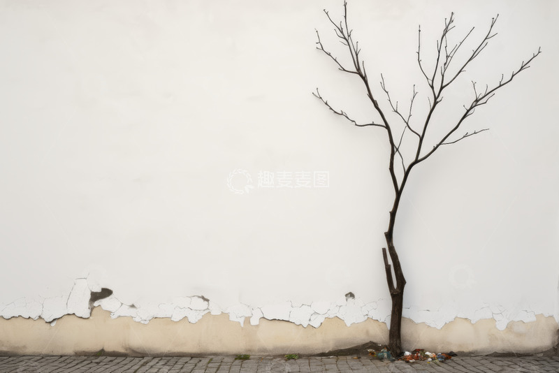 高清大图下载【趣麦麦图】墙边光秃树木与剥落墙面