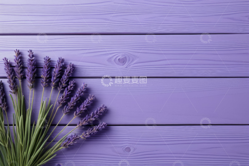 高清大图下载【趣麦麦图】紫色木板上的薰衣草