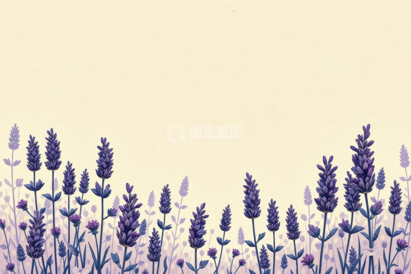 高清大图下载【趣麦麦图】薰衣草花卉背景图