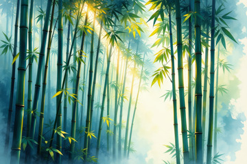 阳光照耀下的竹林风光