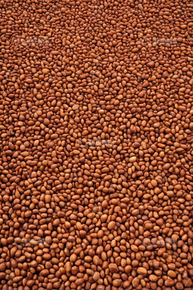 高清大图下载【趣麦麦图】棕色种子特写画面