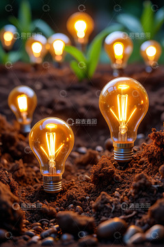 泥土中发光的复古灯泡