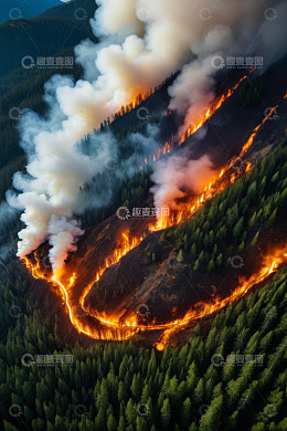 森林火灾俯瞰场景