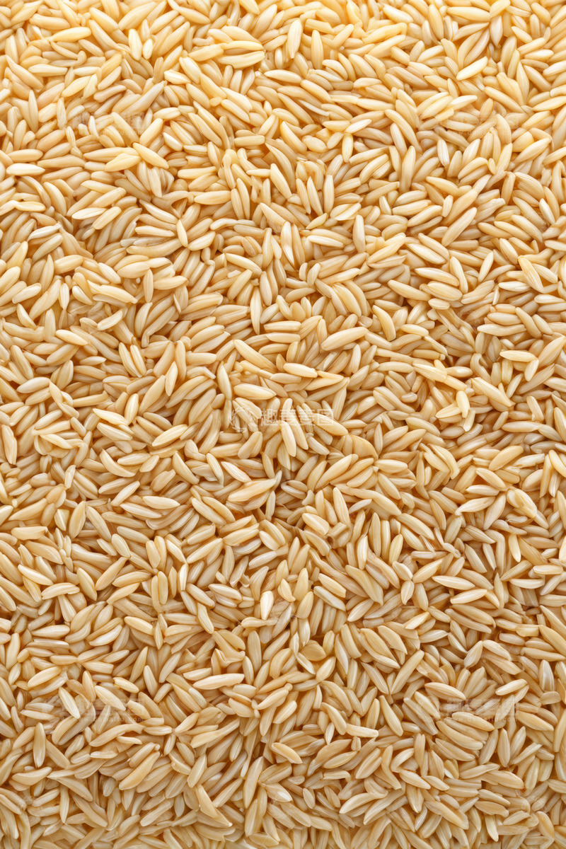 高清大图下载【趣麦麦图】微距特写糙米谷物素材