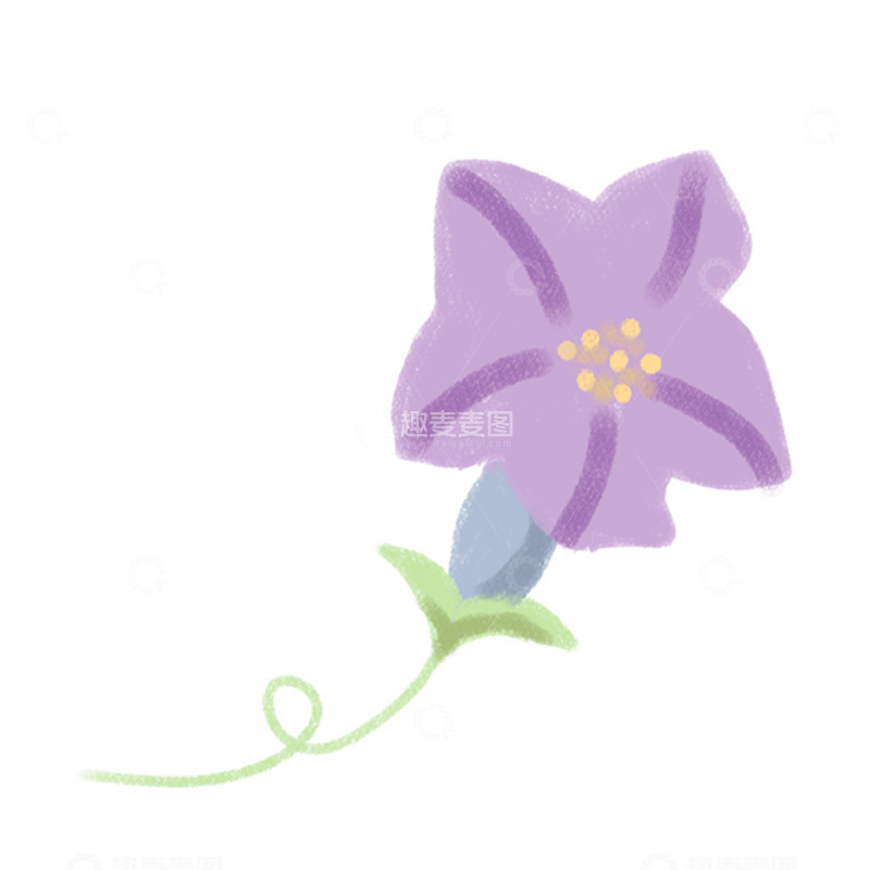 高清大图下载【趣麦麦图】-插画风格紫色喇叭花