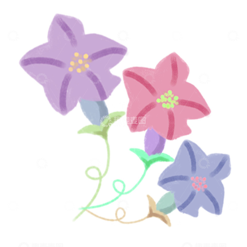 高清大图下载【趣麦麦图】卡通风三色彩花插画设计素材