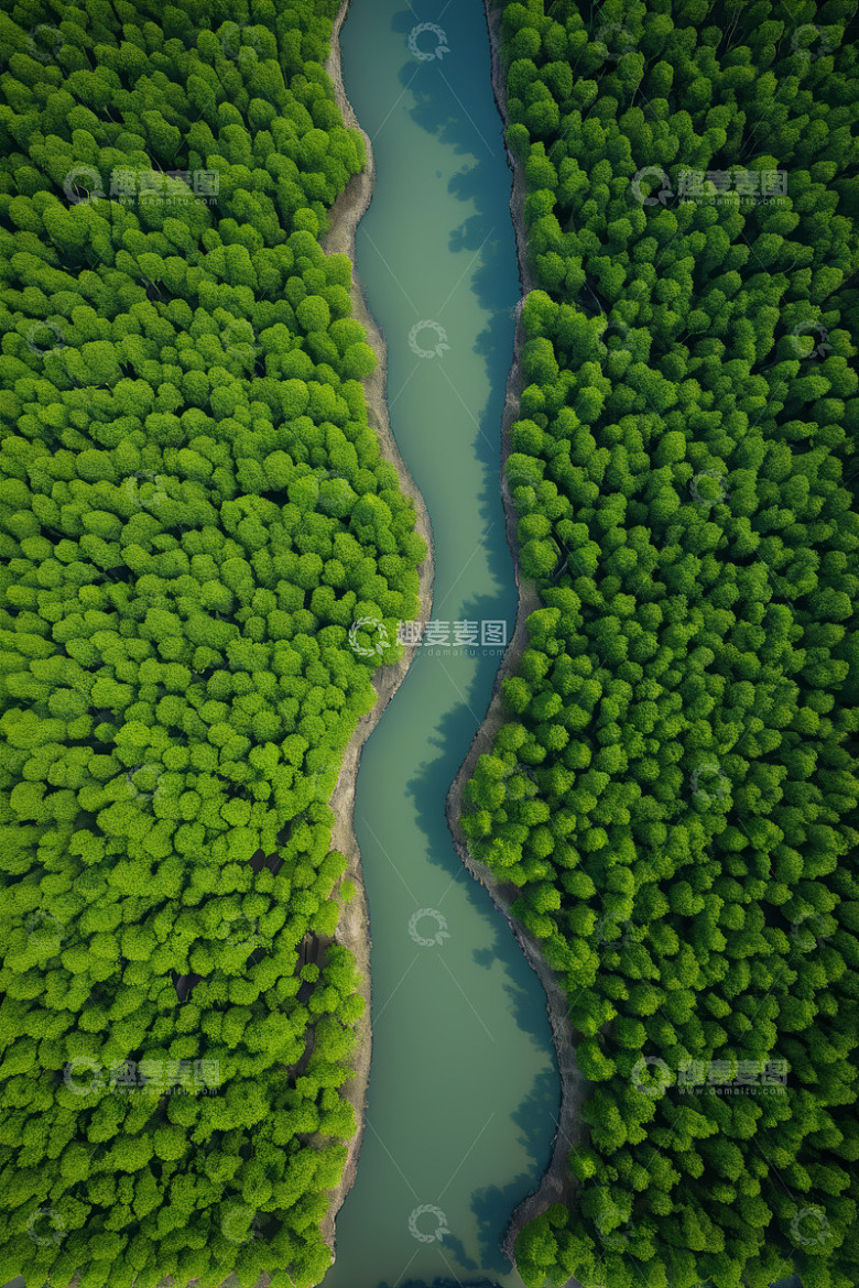 森林河流鸟瞰全景
