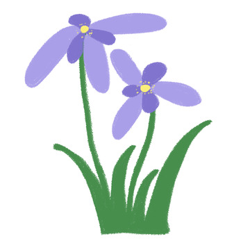 紫色花朵简约插画