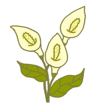 简约风植物插画