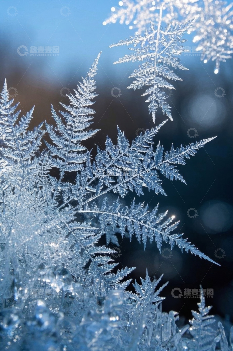 高清大图下载【趣麦麦图】微距下精致的雪花晶体