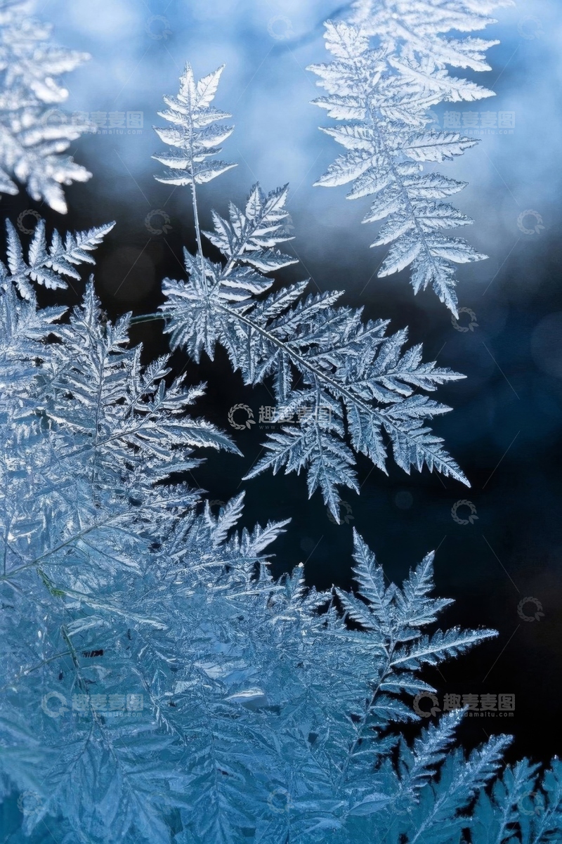 高清大图下载【趣麦麦图】冰晶体自然形态特写