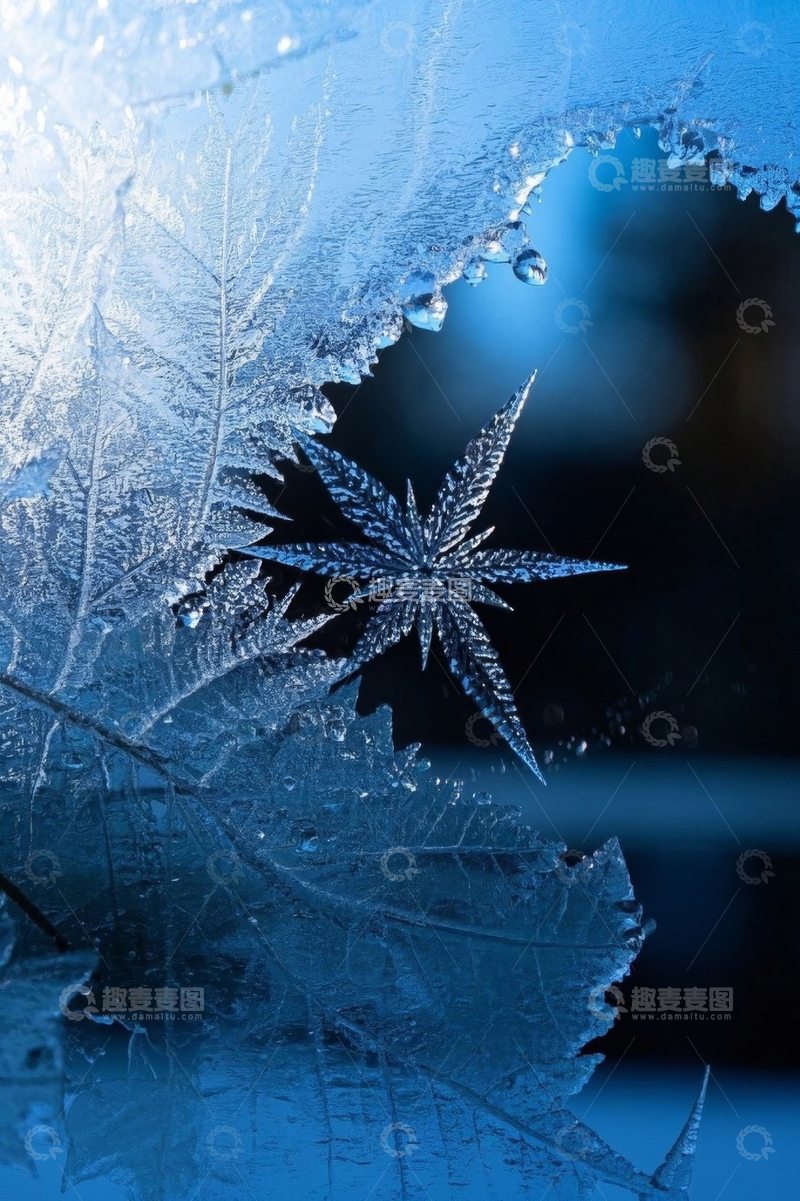高清大图下载【趣麦麦图】窗上精美冰花特写