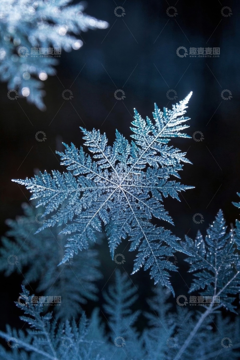 高清大图下载【趣麦麦图】微距雪花特写