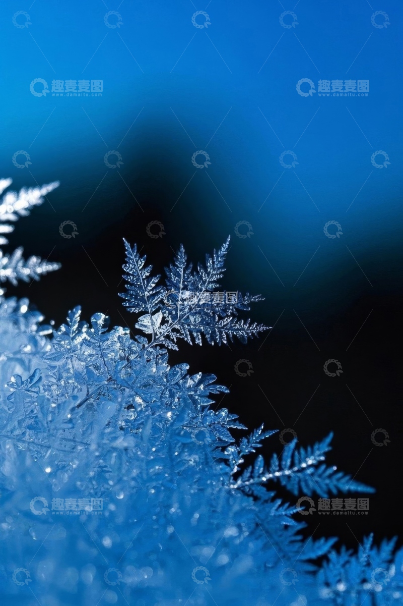 高清大图下载【趣麦麦图】微距雪花特写