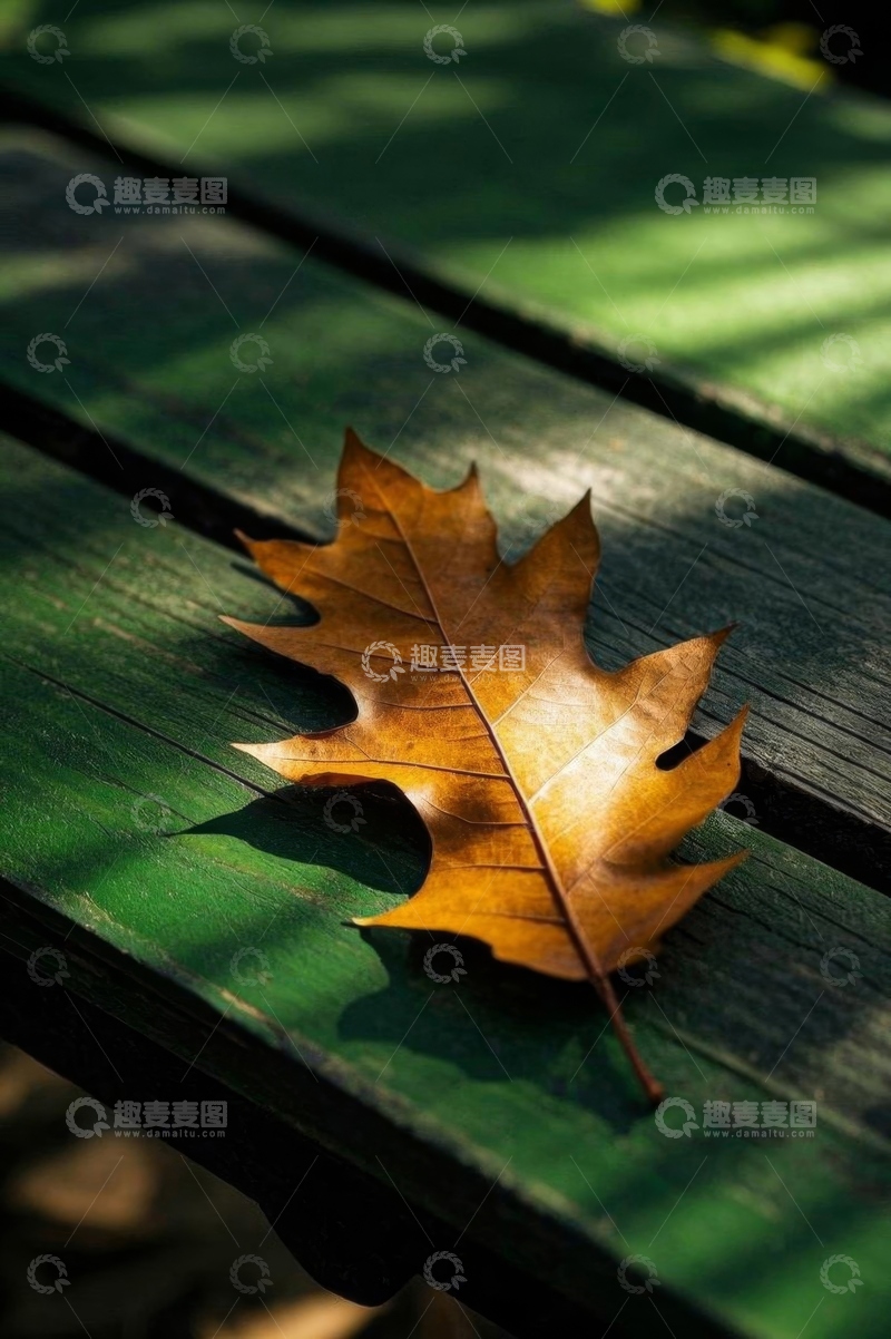 高清大图下载【趣麦麦图】长椅上的秋季落叶