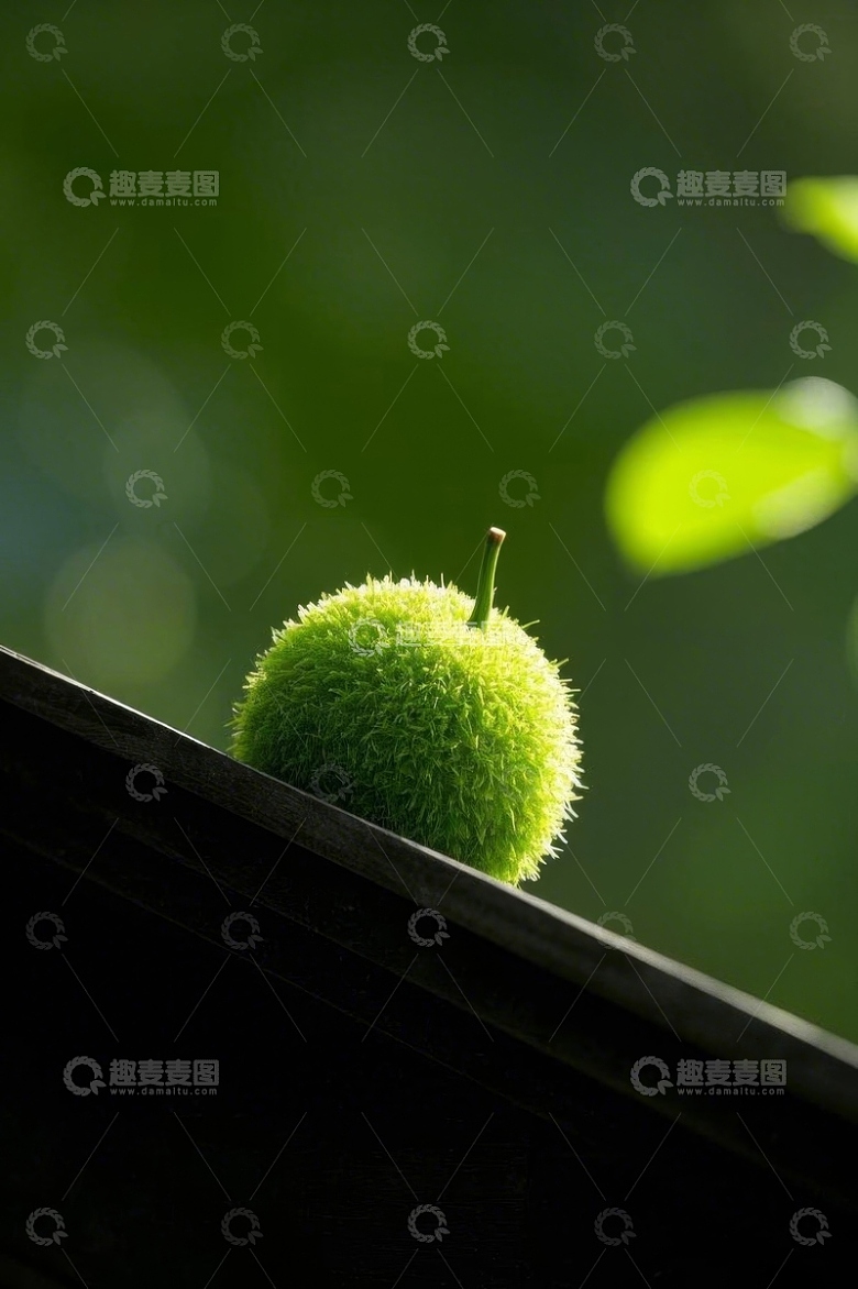 毛茸茸青果置于黑色边缘