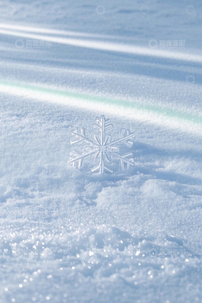 高清大图下载【趣麦麦图】雪地中的雪花特写