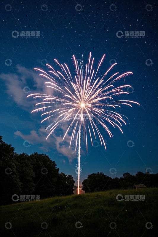 夜空绽放的绚烂烟花