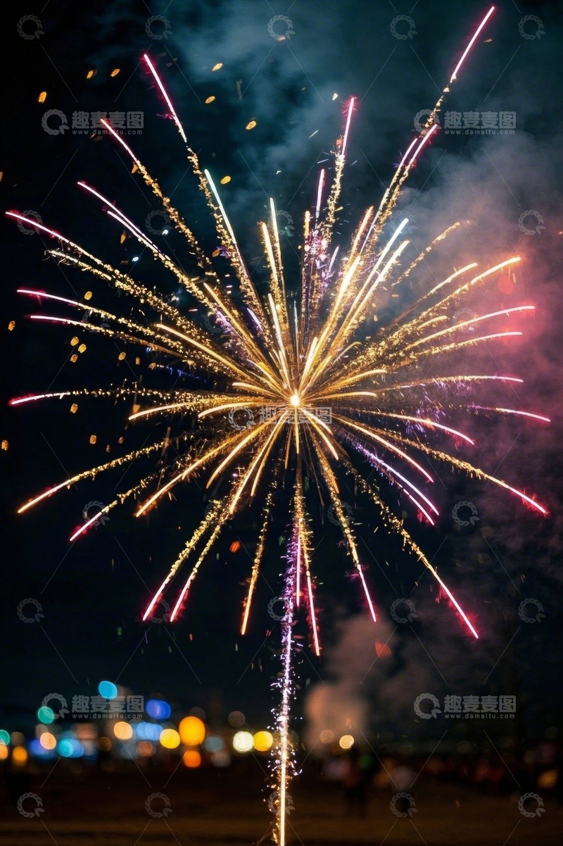 高清大图下载【趣麦麦图】夜空中绽放的绚丽烟花
