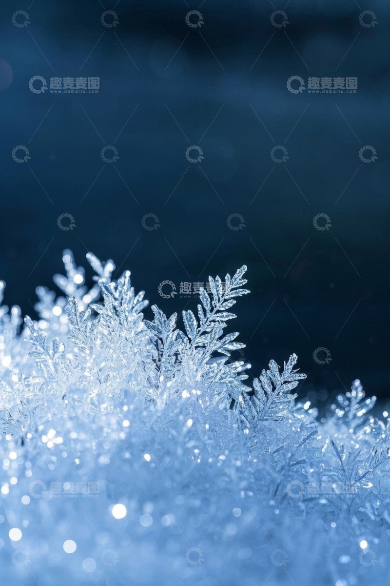 高清大图下载【趣麦麦图】微距雪花特写