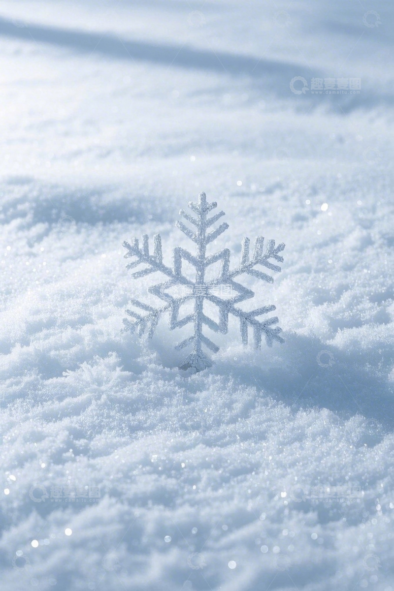 高清大图下载【趣麦麦图】雪地中的雪花特写