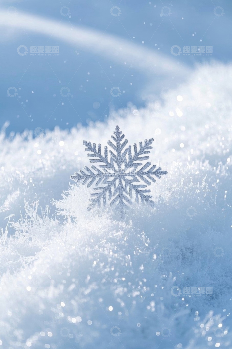 高清大图下载【趣麦麦图】微距雪花特写雪景