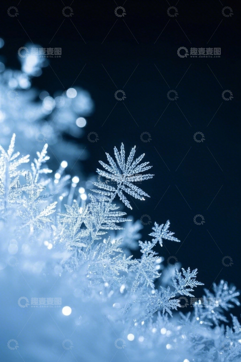 高清大图下载【趣麦麦图】微距雪花特写