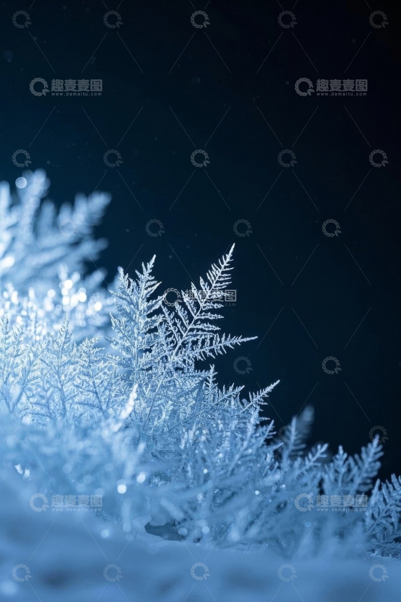 高清大图下载【趣麦麦图】微距下的雪花冰晶特写