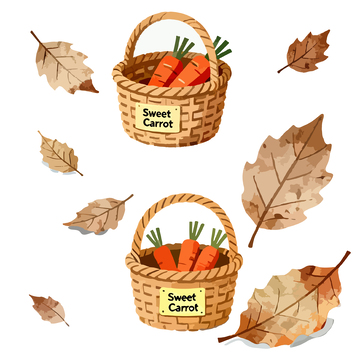 田园风篮子胡萝卜插画