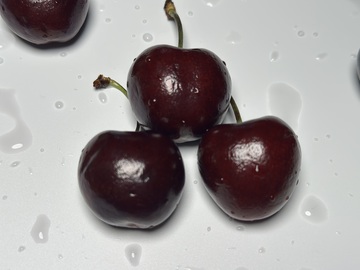 樱桃特写水珠新鲜水果摄影