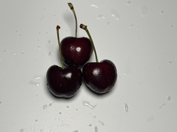 光泽樱桃静物摄影