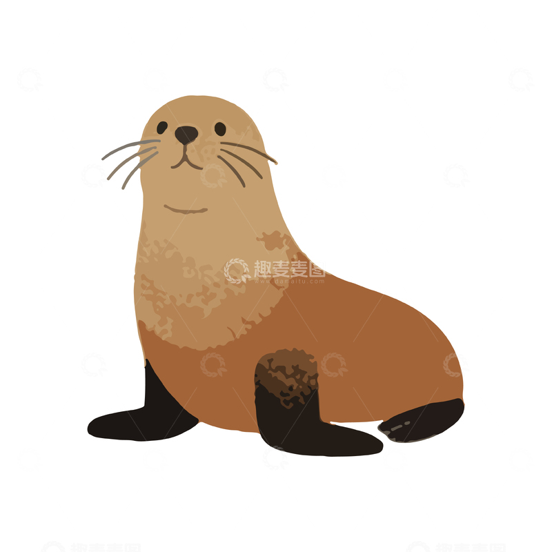 源文件下载【趣麦麦图】卡通海豹插画设计素材