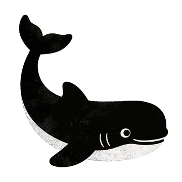 黑白鲸鱼插画图案设计素材