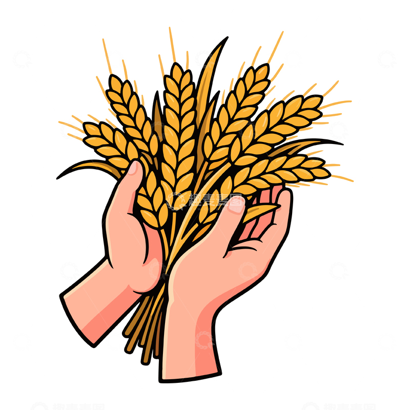 源文件下载【趣麦麦图】卡通风格双手捧麦穗插画