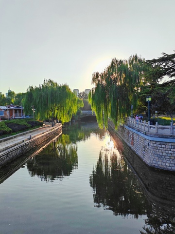 河畔柳影夕阳美