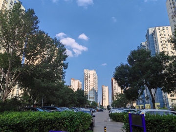 城市街景绿树高楼