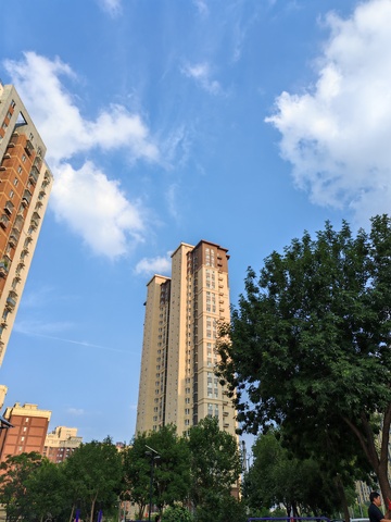 城市高楼蓝天绿树风光