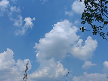 蓝天白云树影风景