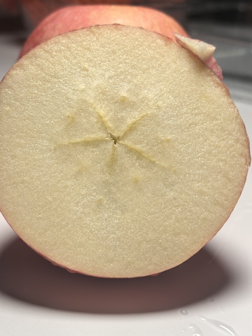 苹果特写摄影照片