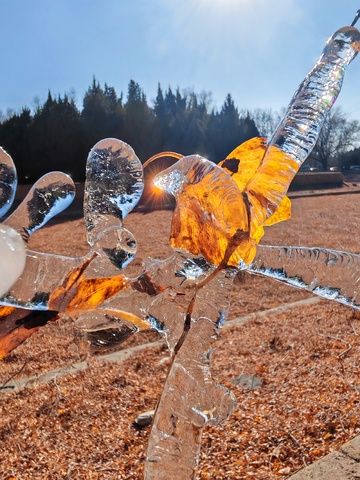 透明冰叶雕塑户外艺术