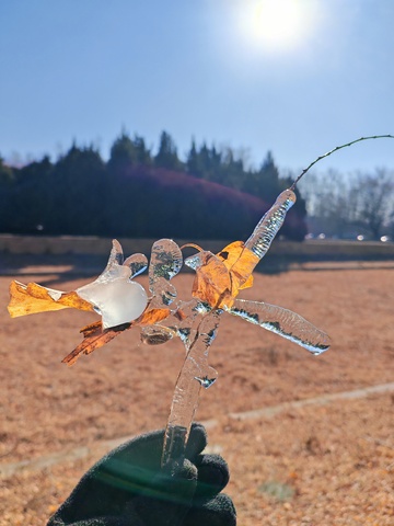 冰块阳光下田野