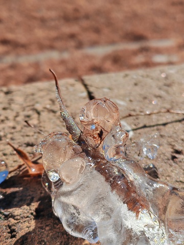 冰雪融化岩石景观特写