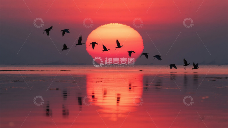 高清大图下载【趣麦麦图】夕阳飞鸟湖面倒影风光摄影