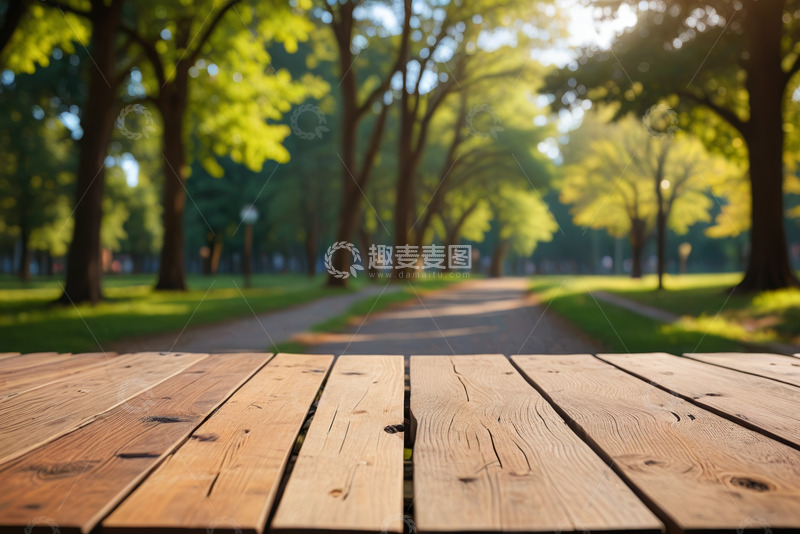 高清大图下载【趣麦麦图】户外公园木桌自然风光