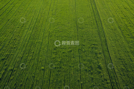 航拍绿色农田景观