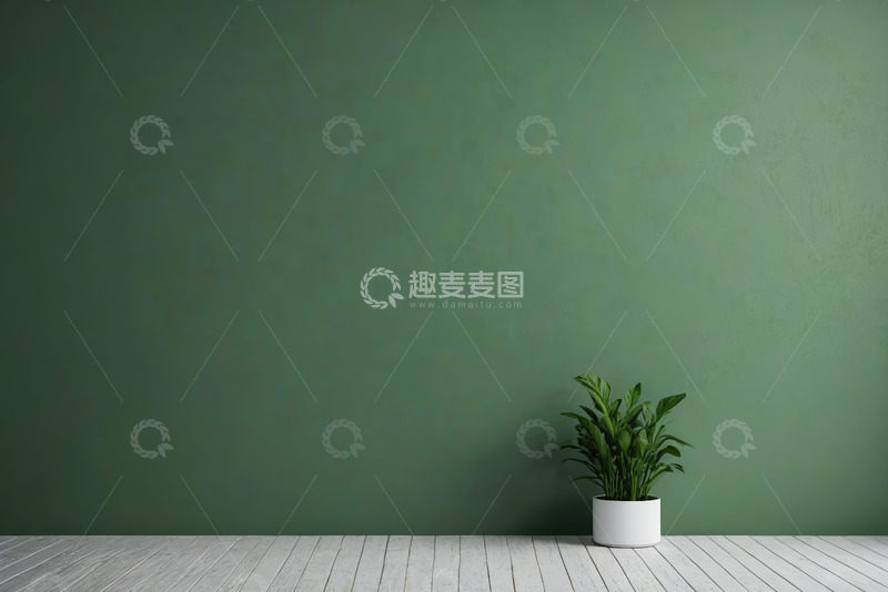 高清大图下载【趣麦麦图】绿色墙面配绿植室内场景