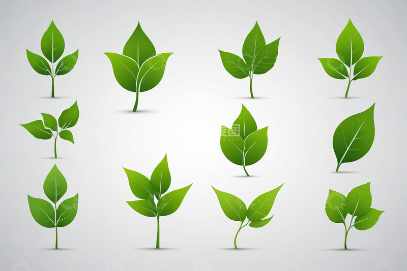 高清大图下载【趣麦麦图】多形态绿色叶片矢量素材